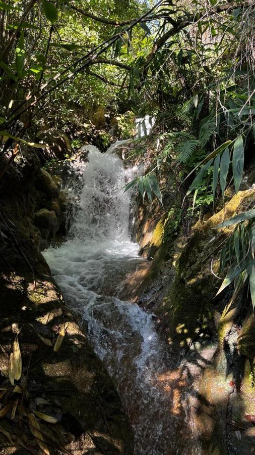 Joey'S Homestay Rišikéš Exteriér fotografie